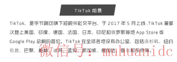tiktok账号购买平台