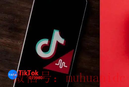 tiktok账号购买平台