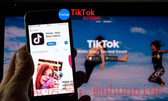 tiktok账号购买平台