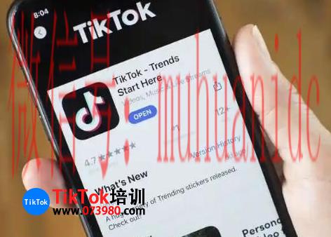 tiktok账号购买平台