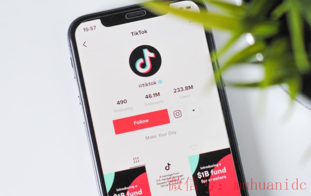 tiktok账号购买平台