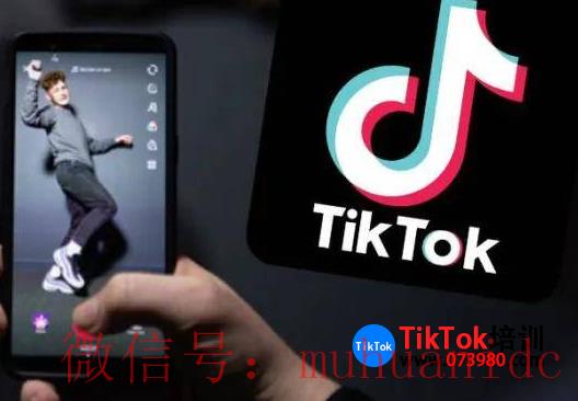 tiktok账号购买平台