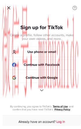 tiktok账号购买平台