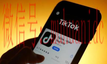 tiktok账号购买平台