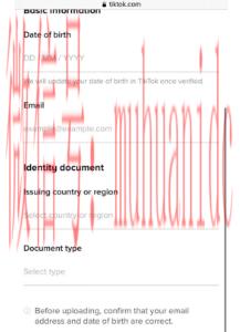 tiktok账号购买平台