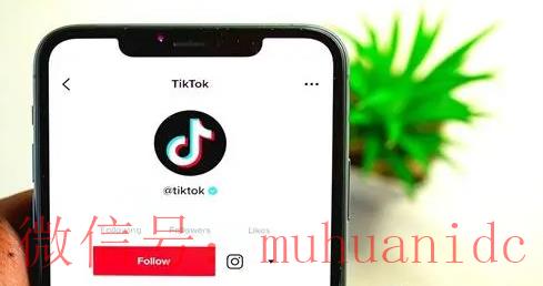 tiktok账号购买平台