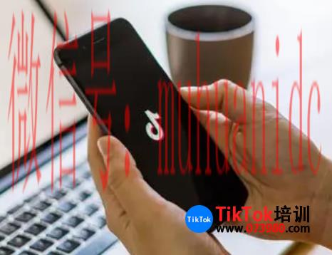 tiktok账号购买平台