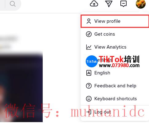 tiktok账号购买平台