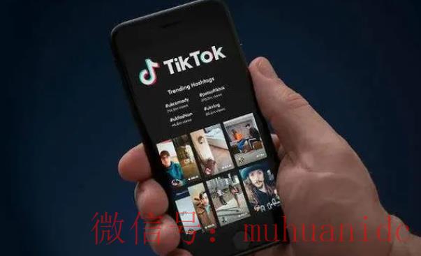 tiktok账号购买平台