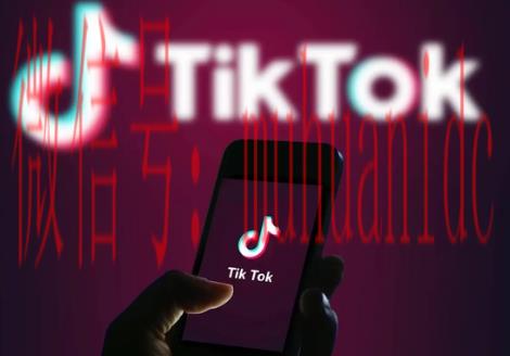 tiktok账号购买平台