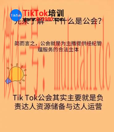 tiktok账号购买平台