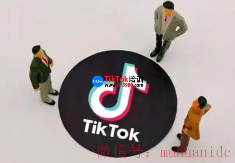 tiktok账号购买平台