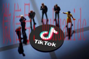 tiktok账号购买平台