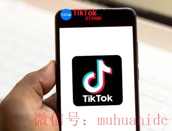 tiktok账号购买平台