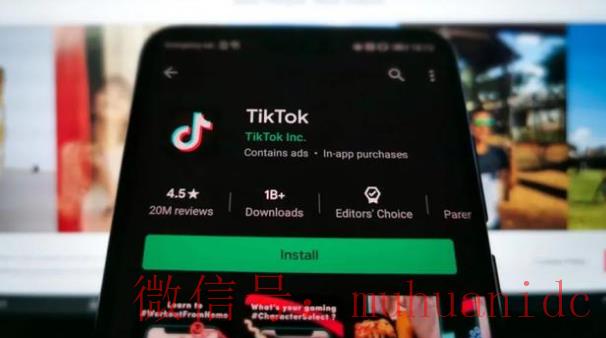 tiktok账号购买平台