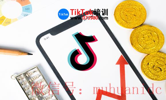 tiktok账号购买平台