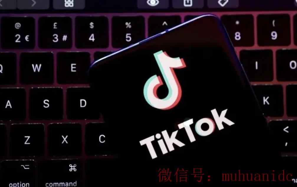 tiktok账号购买平台