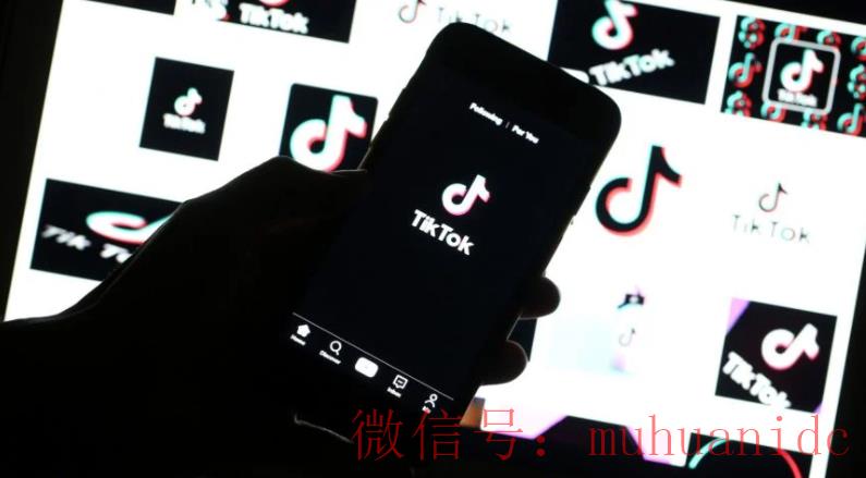tiktok账号购买平台