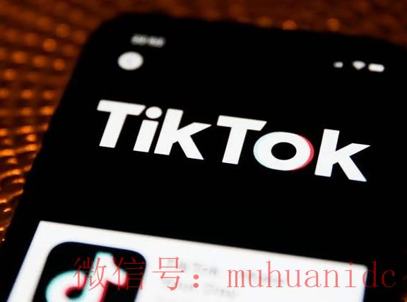 tiktok账号购买平台