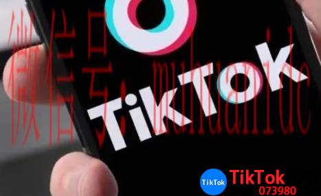 tiktok账号购买平台