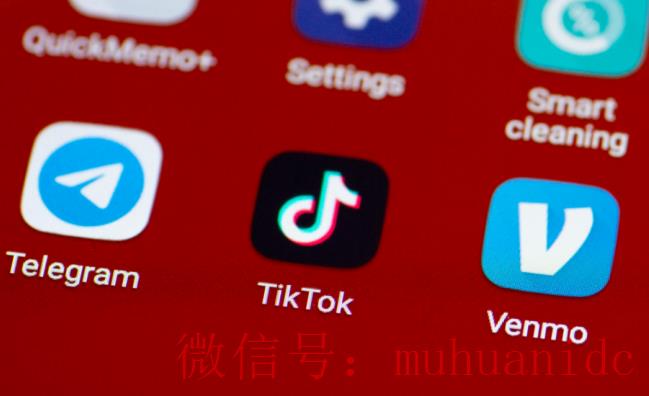 tiktok账号购买平台