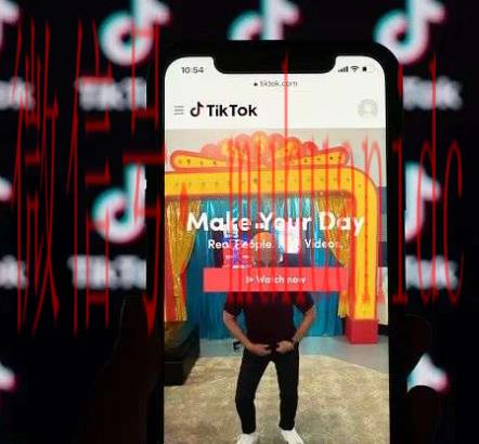 tiktok账号购买平台