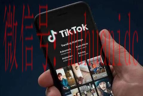 tiktok账号购买平台