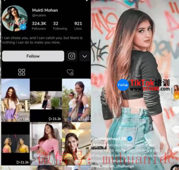 tiktok账号购买平台