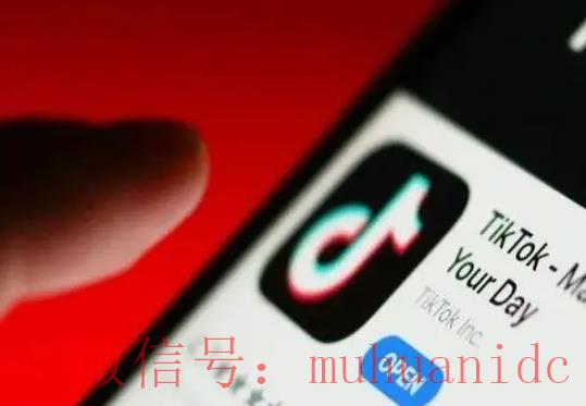 tiktok账号购买平台