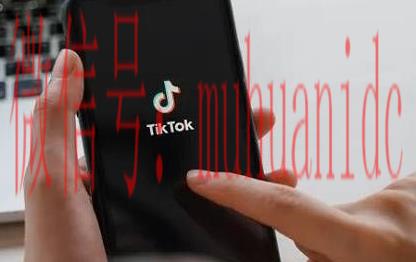 tiktok账号购买平台