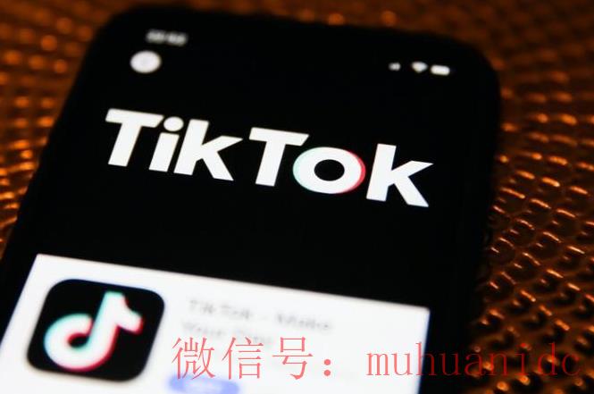 tiktok账号购买平台