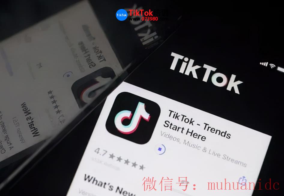 tiktok账号购买平台