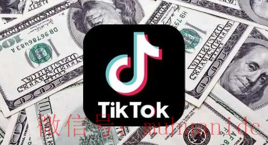 tiktok账号购买平台