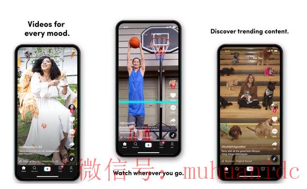 tiktok账号购买平台