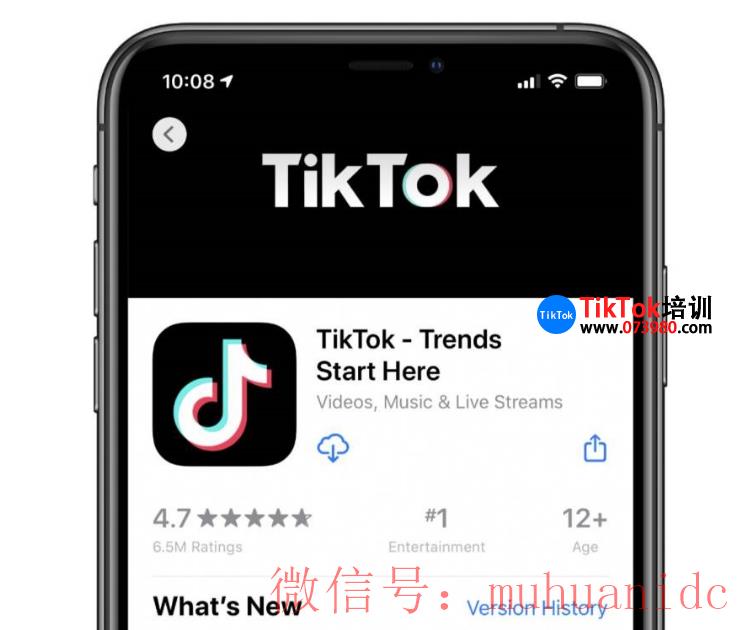 tiktok账号购买平台