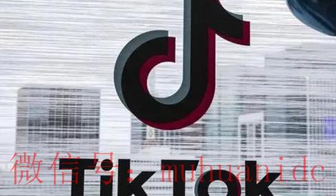 tiktok账号购买平台