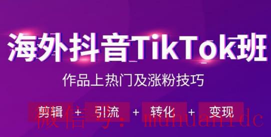 tiktok账号购买平台