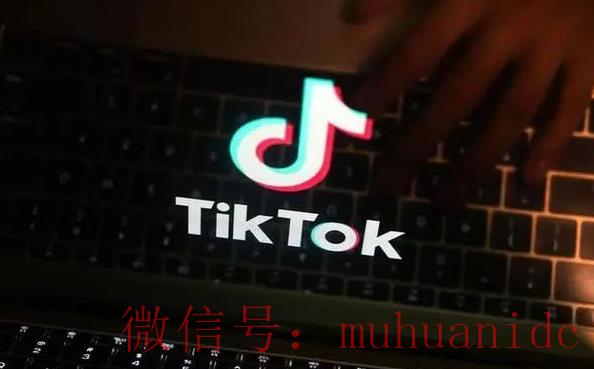 tiktok账号购买平台
