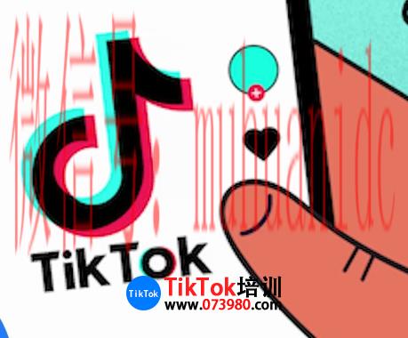 tiktok账号购买平台