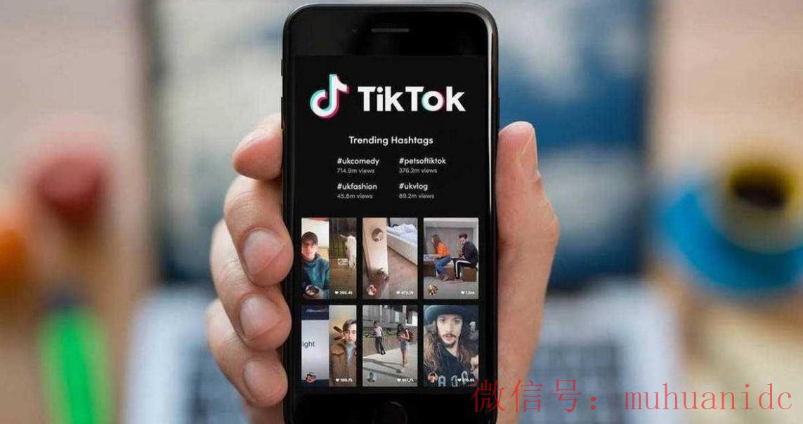 tiktok账号购买平台