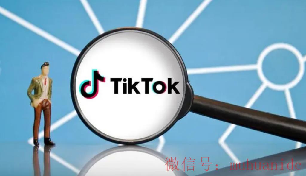 tiktok账号购买平台