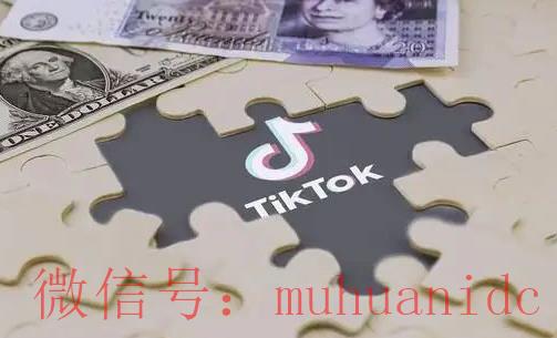 tiktok账号购买平台
