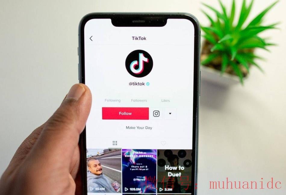 tiktok账号购买平台