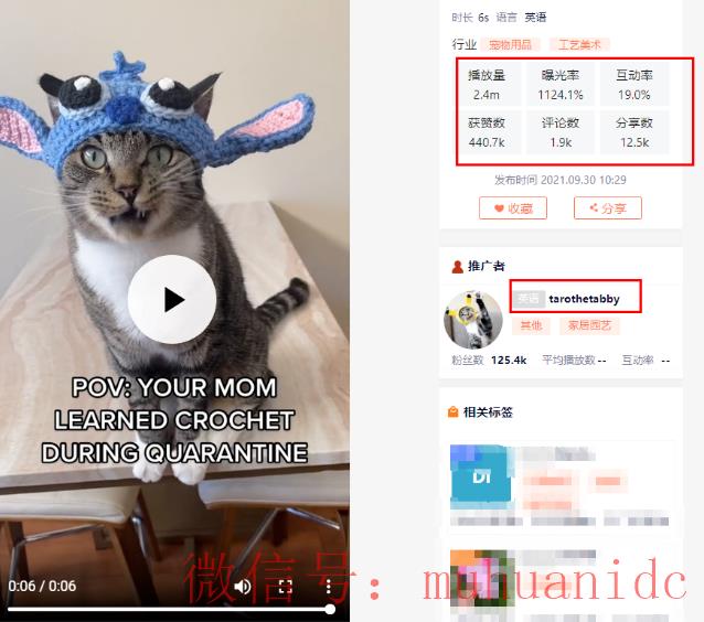 tiktok账号购买平台