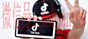 tiktok账号购买平台