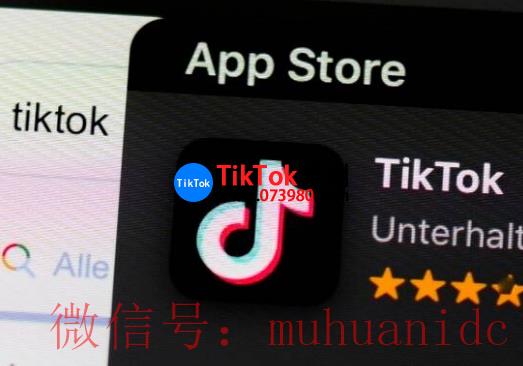 tiktok账号购买平台