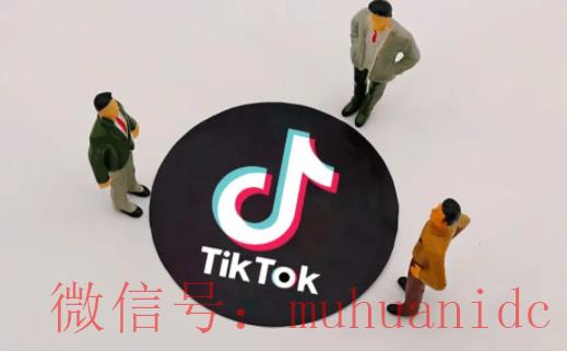 tiktok账号购买平台