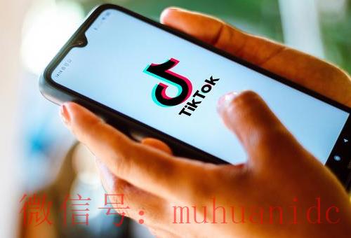 tiktok账号购买平台