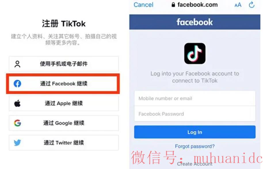 tiktok账号购买平台