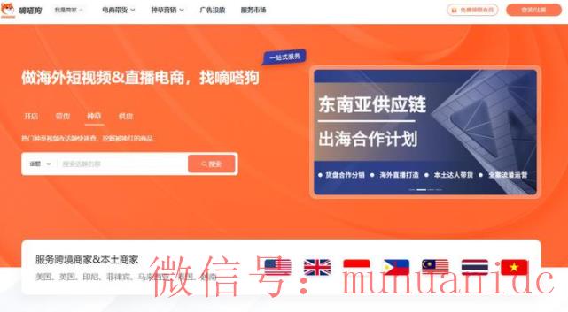 tiktok账号购买平台